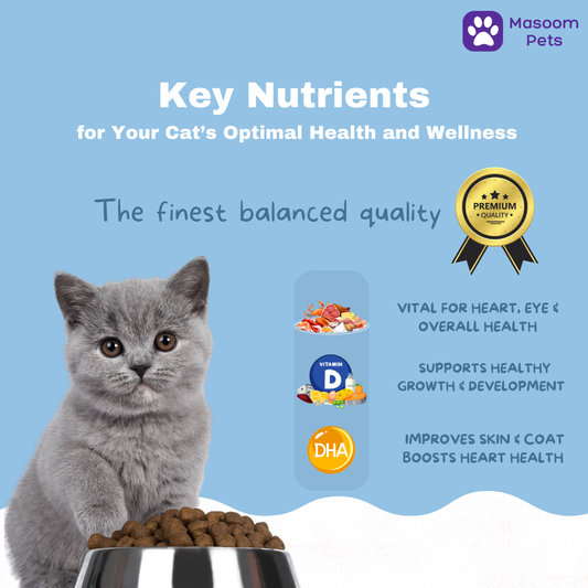Ocean Feast for Cats (Food)