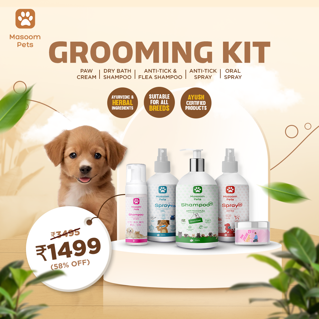 Why Your Pet Needs a Grooming Routine – It’s More Than Just Looks!