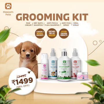 Why Your Pet Needs a Grooming Routine – It’s More Than Just Looks!