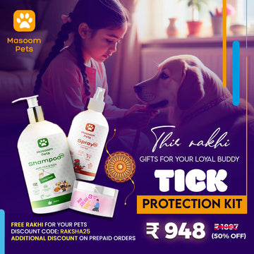 This Rakhi, Tie a Bond of Protection for Your Pet Because they protect your heart every day — now it’s your turn.