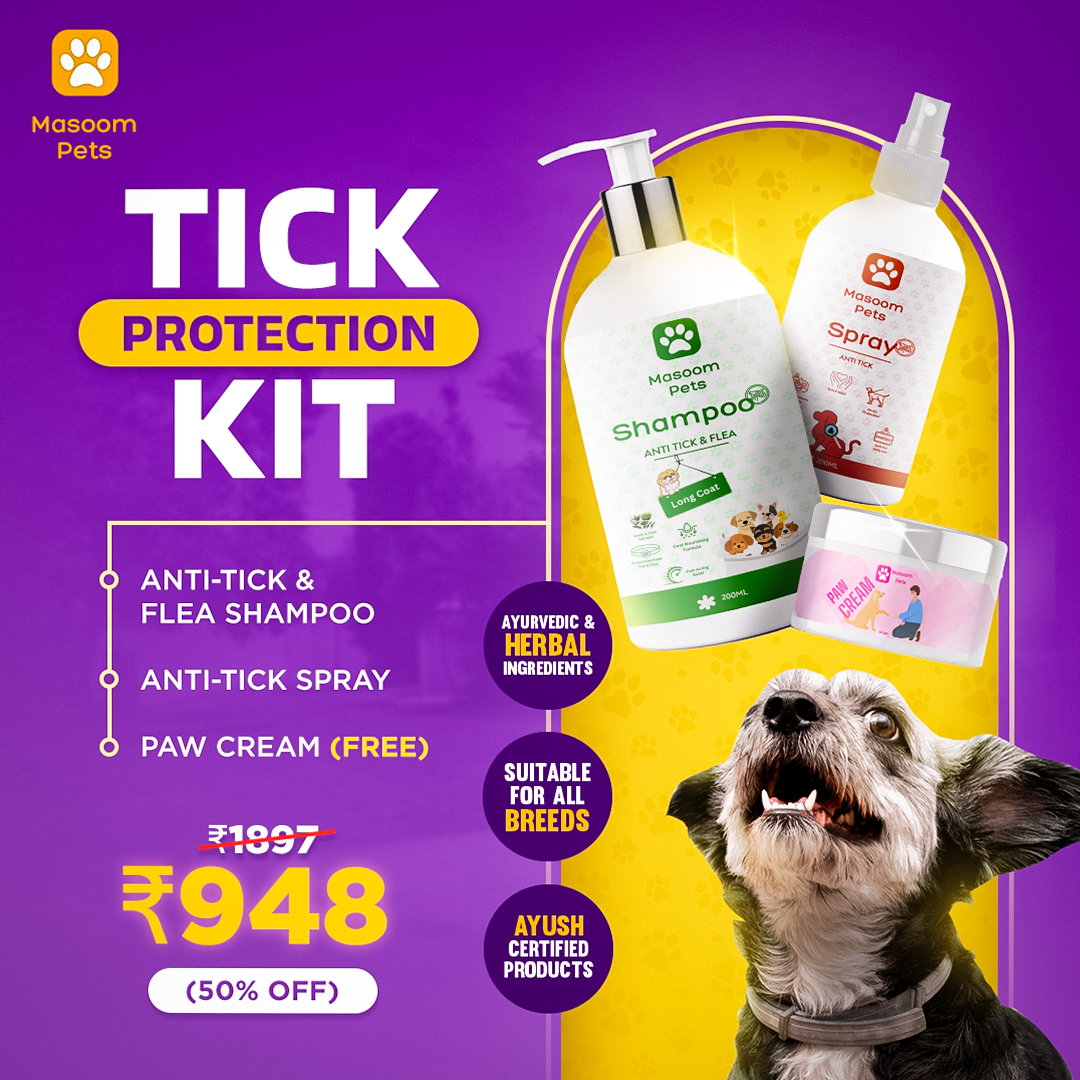 The Ultimate Tick & Flea Protection Guide for Indian Pets
