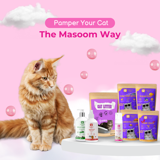 The Ultimate Cat Care Kit by Masoom Pets