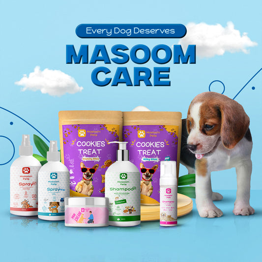 The Ultimate Dog Care Kit by Masoom Pets